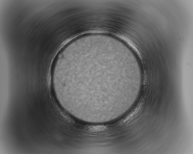 X0000095950837200802081255