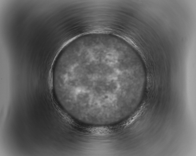 X0000095950838200802081256