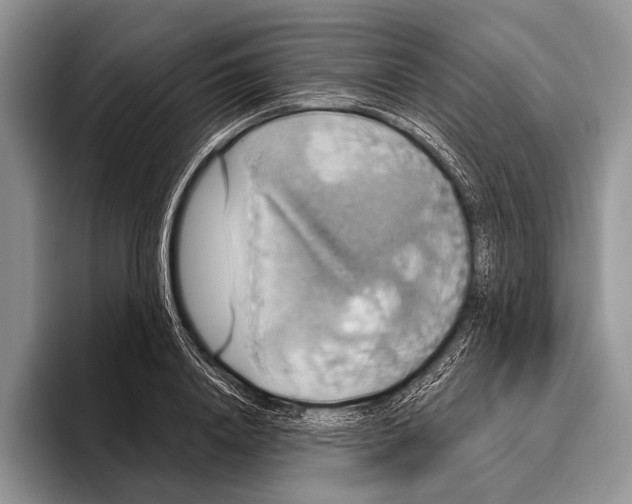 X0000095950840200802081256