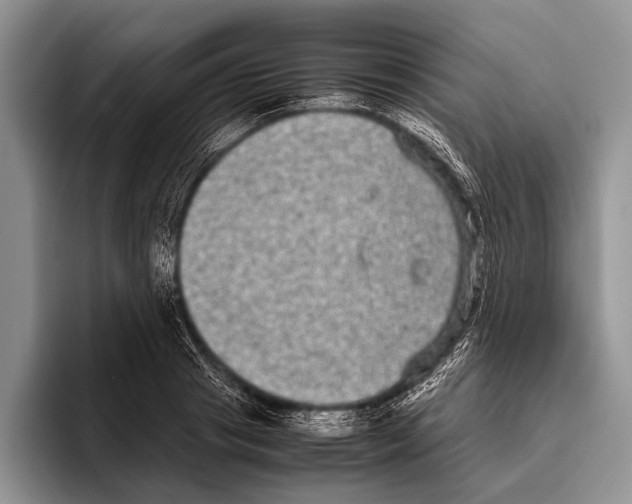 X0000095950841200802081256