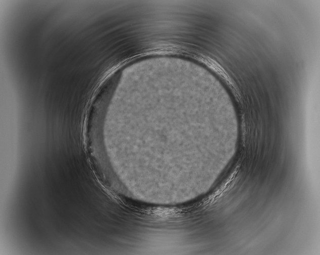 X0000095950842200802081256