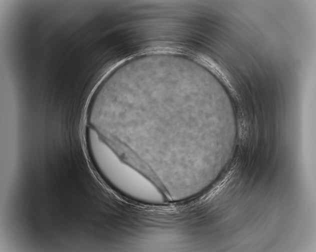 X0000095950844200802081256