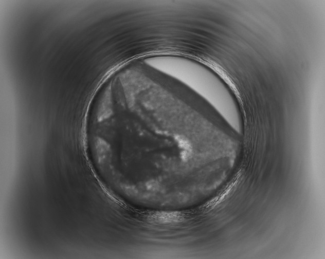 X0000095950845200802081256