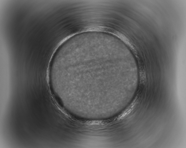 X0000095950846200802081256