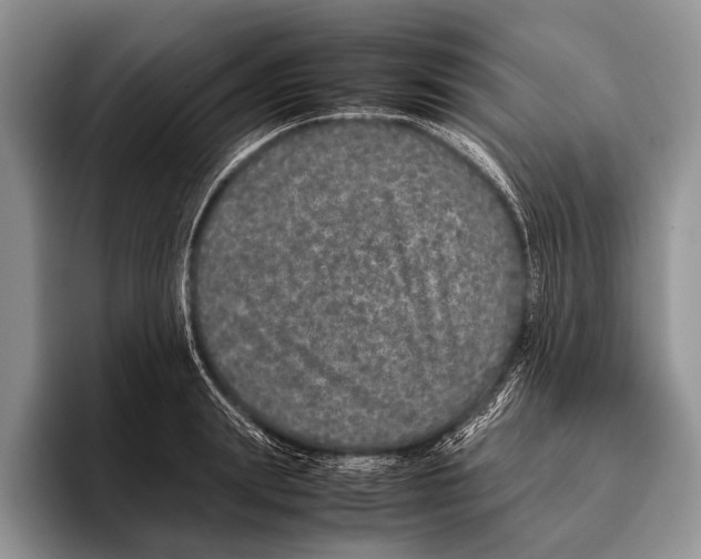 X0000095950847200802081256