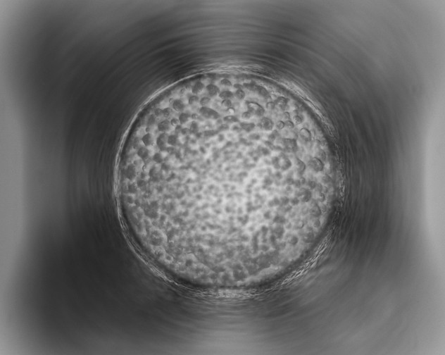 X0000095950848200802081256