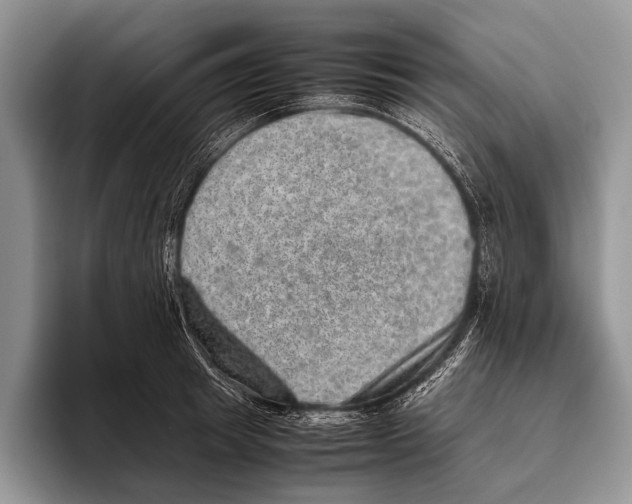 X0000095950849200802081256