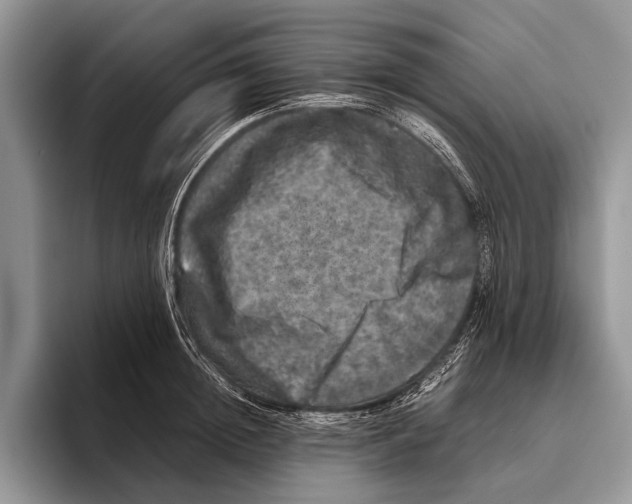 X0000095950852200802081256