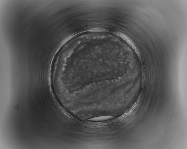 X0000095950853200802081256