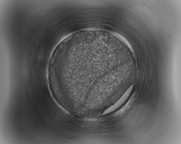 X0000095950855200802081256