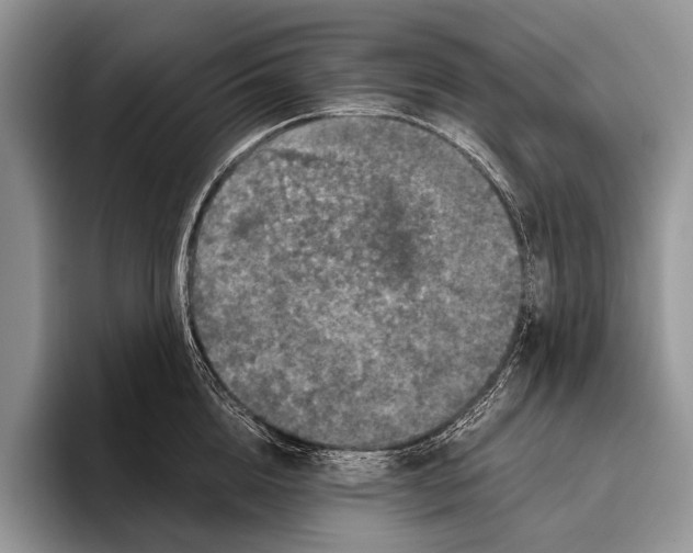 X0000095950856200802081256