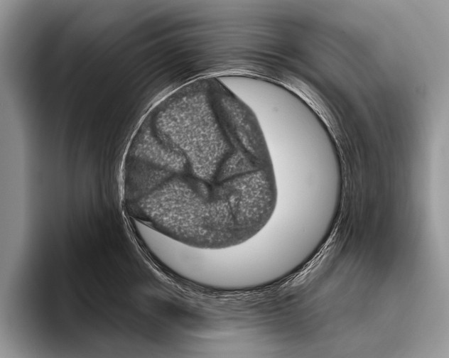 X0000095950858200802081256