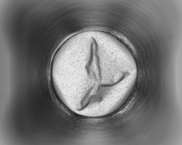 X0000095950860200802081256