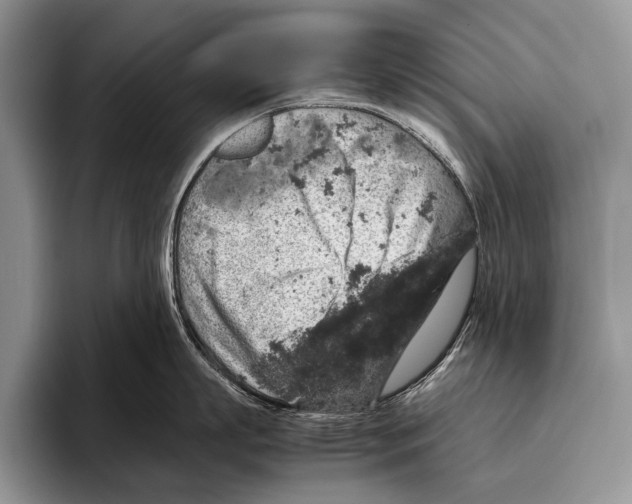 X0000095950863200802081256