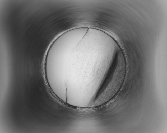 X0000095950864200802081256