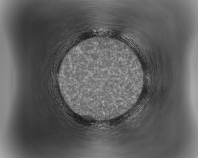 X0000095950865200802081255