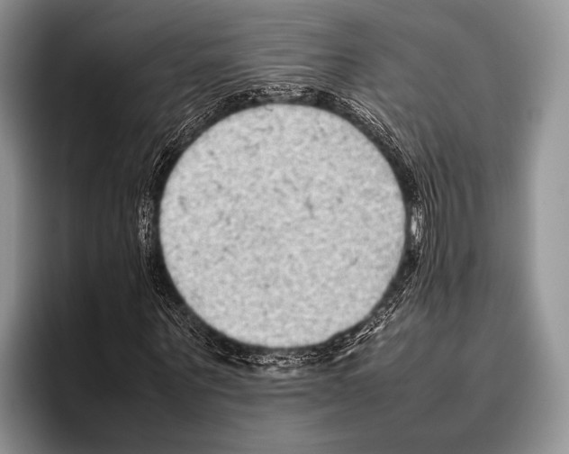 X0000095950867200802081255