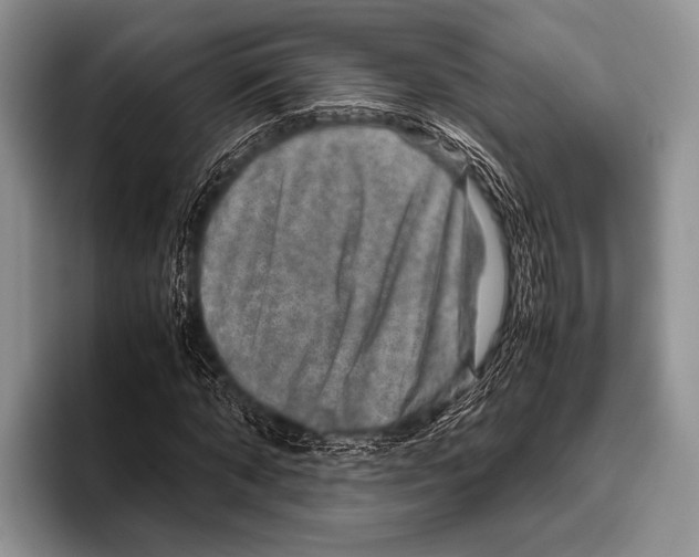 X0000095950870200802081255