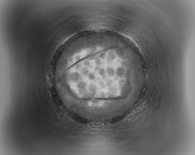 X0000095950871200802081255