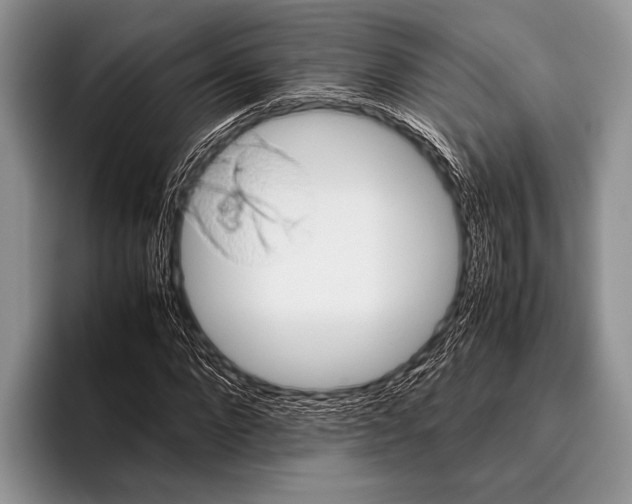 X0000095950872200802081255