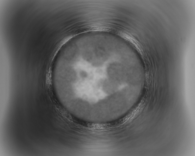 X0000095950875200802081255