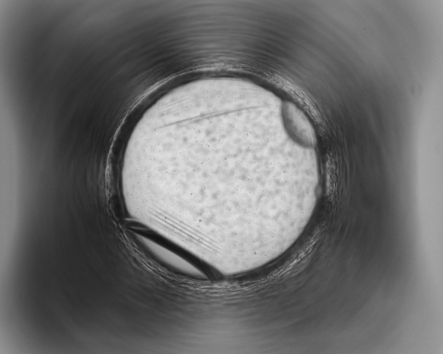 X0000095950876200802081255