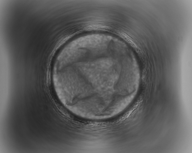 X0000095950877200802081255