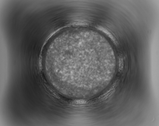 X0000095950878200802081255