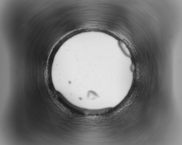 X0000095950880200802081255