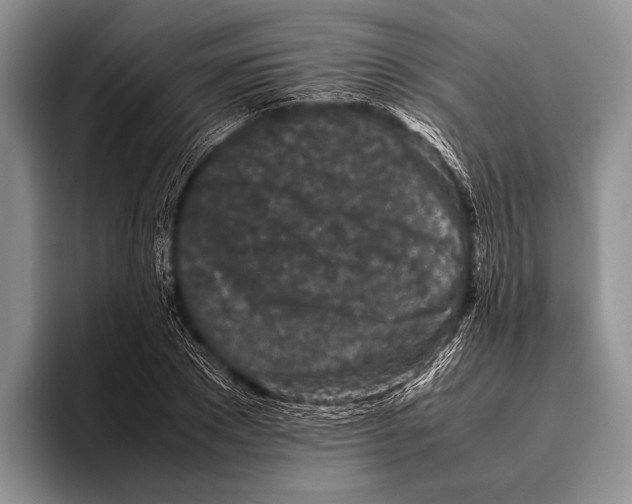 X0000095950881200802081255