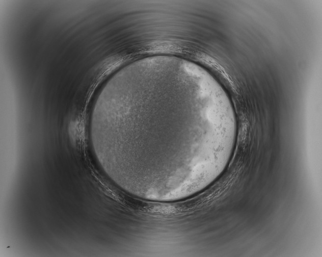 X0000095950882200802081255