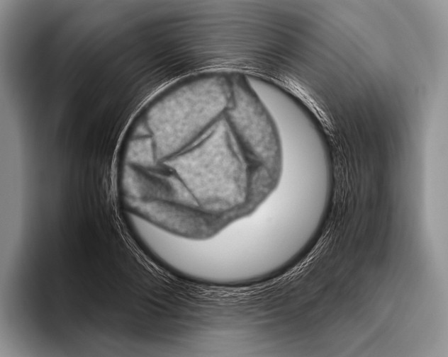 X0000095950884200802081255