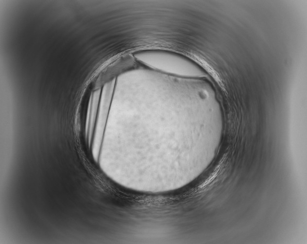 X0000095950885200802081255