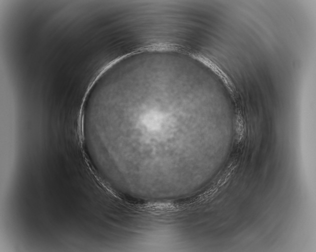 X0000095950886200802081255