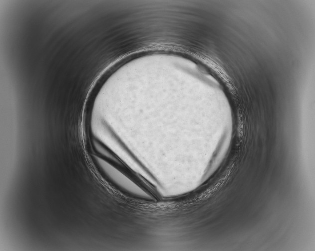 X0000095950888200802081255