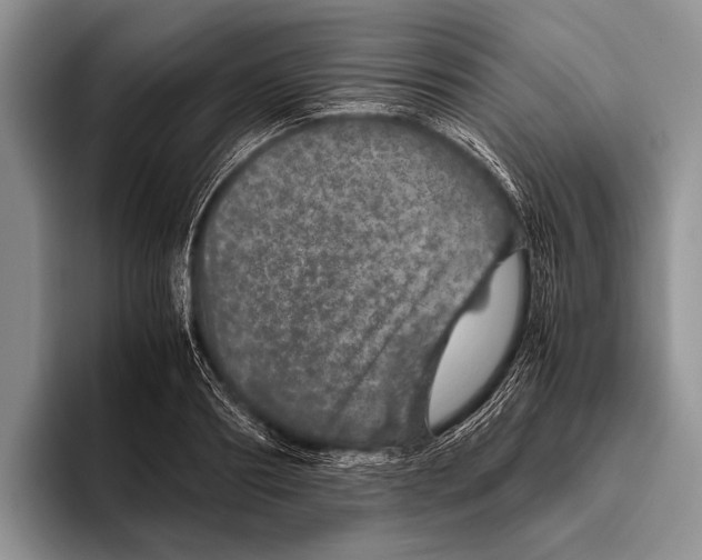 X0000095950890200802081255