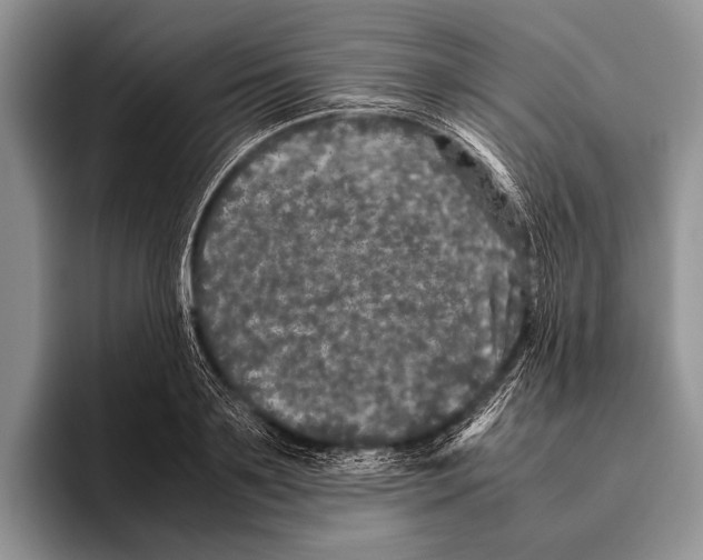 X0000095950891200802081255