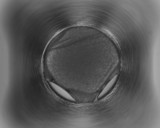 X0000095950892200802081255