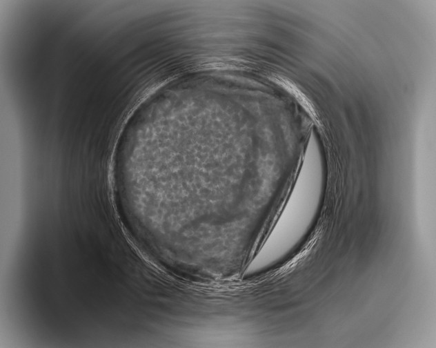 X0000095950893200802081255