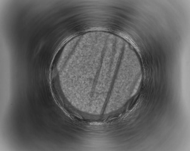 X0000095950898200802081255