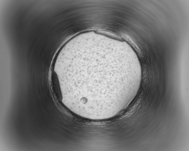 X0000095950900200802081255