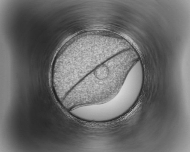 X0000095950901200802081255