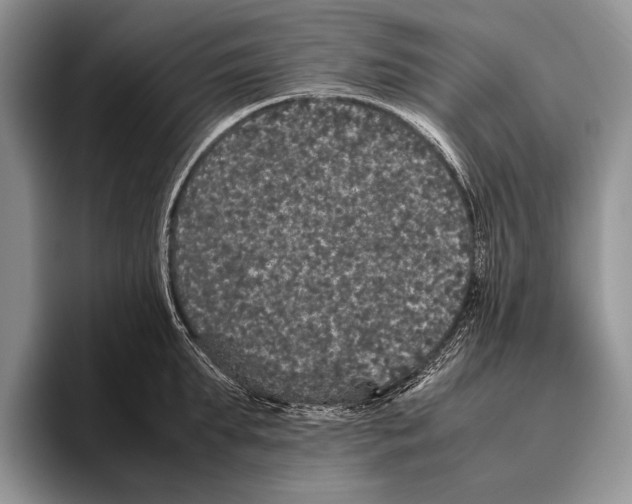 X0000095950903200802081255