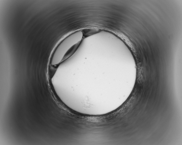 X0000095950904200802081255