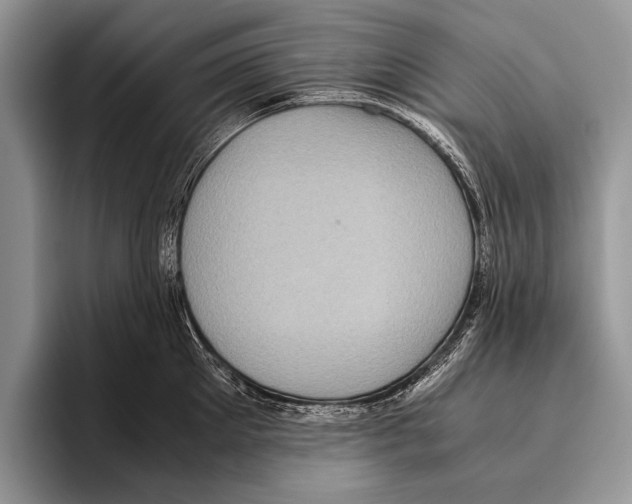 X0000095950905200802081255