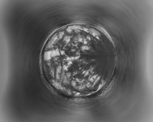 X0000095950907200802081255