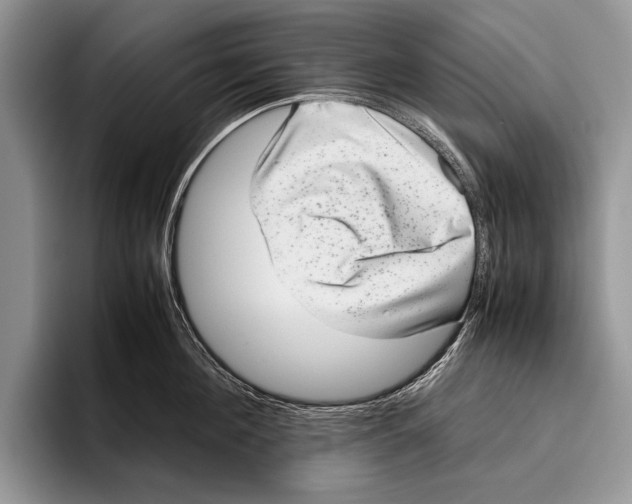 X0000095950908200802081255