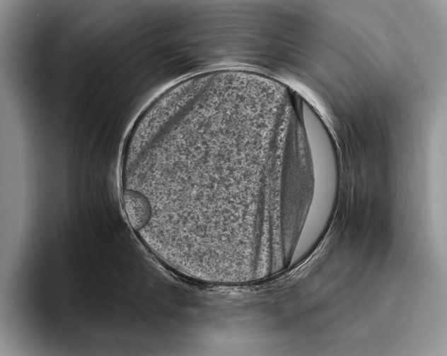 X0000095950910200802081255