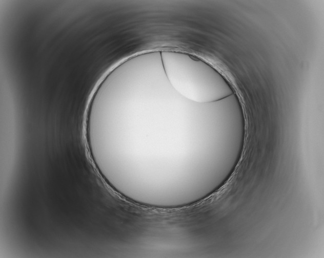 X0000095950912200802081255