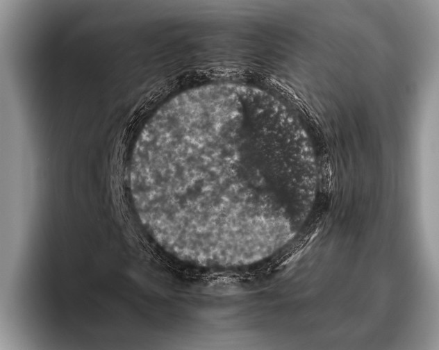 X0000095950913200802081254